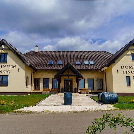 GyöngyösDominium Pinceszet Es Panzio住宿加早餐旅馆 外观 照片
