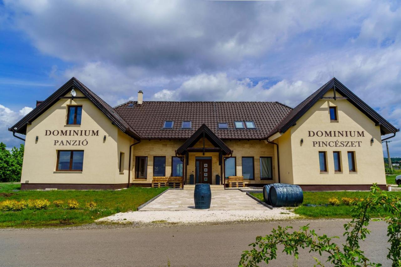 GyöngyösDominium Pinceszet Es Panzio住宿加早餐旅馆 外观 照片