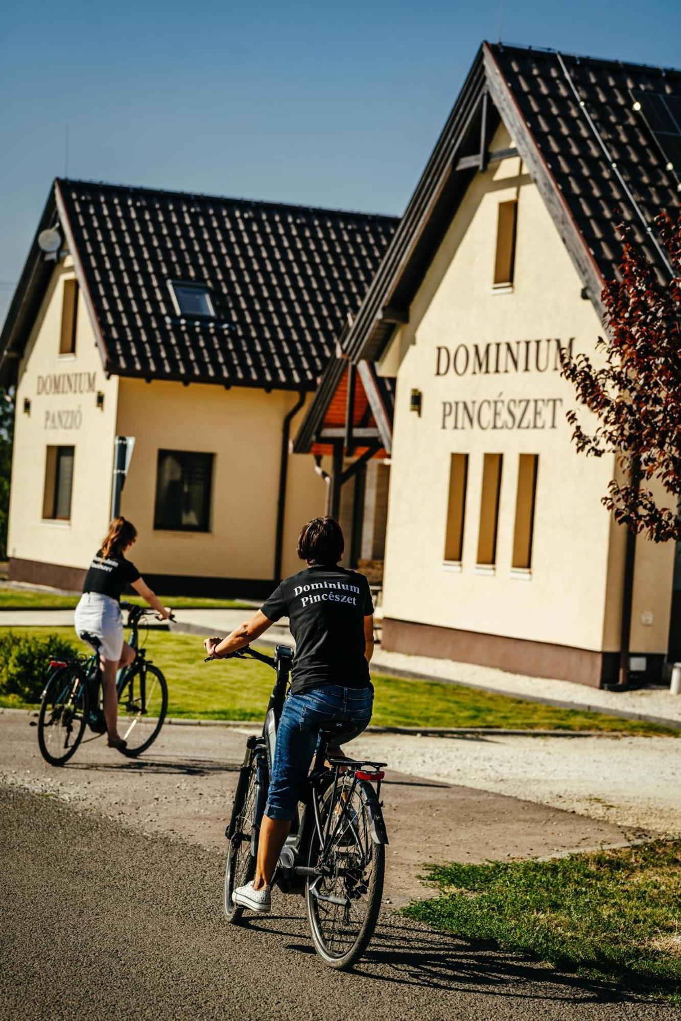 GyöngyösDominium Pinceszet Es Panzio住宿加早餐旅馆 外观 照片